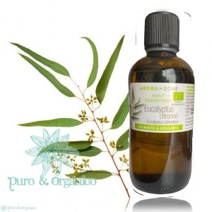 Aceite esencial de Eucalipto BIO Organico ( eucaliptus citriodora ) citronne