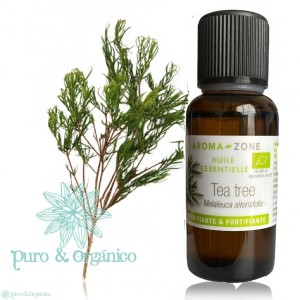 Aceite esencial de Arbol de Te Organico Puro  Tea tree oil-30 ml (1Oz) I Puro y Organico Colombia