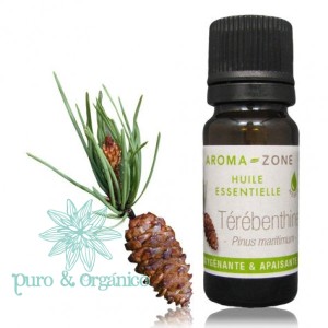 Pinus pinaster Aceite esencial de Trementina BIO Organico Bogota Colombia