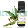 AZ Aceite Esencial de Eucalipto Organico 30ml Eucaliptus Globulus