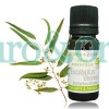 Aceite esencial de Eucalipto BIO Organico ( eucaliptus citriodora ) citronne