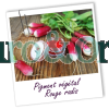  Pigmento vegetal de Rabano Rojo 2gr Rouge radis para esmaltes y labiales