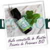 Aroma Zone Aceite Esencial de Menta Piperita 10ml de Provenza Bio Organico Colombia