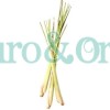 Aroma Zone Aceite esencial de Limonaria Organica Lemongrass oil