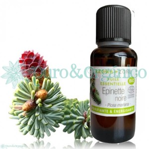 Aceite Esencial de Abeto Negro 30ml Organico Epinete (Picea mariana) Bogota Colombia