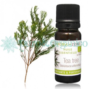 Aceite esencial de Arbol de Te 10ml Puro y Organico Colombia Tea tree oil