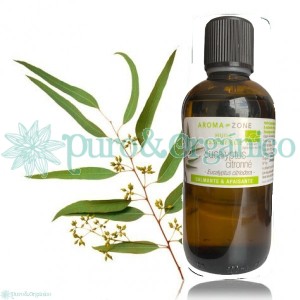 Aceite esencial de Eucalipto 100ml (Eucaliptus citriodora ) BIO Puro y Organico Bogotá, Colombia