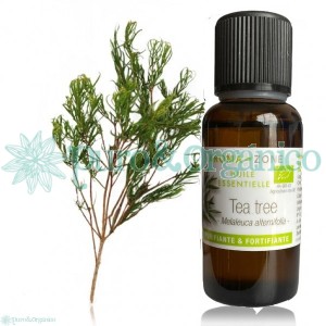 Aceite esencial de Arbol de Te 30ml Organico Puro  Tea tree oil 