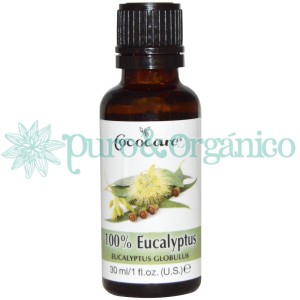 Cococare Aceite esencial de Eucalipto (Eucalyptus Globulus) 30ml Puro 100% Natural 
