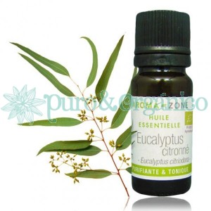 Aceite esencial de Eucalipto 10ml Citronee Puro y Organico Colombia Eucalyptus citriodora