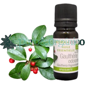 Aceite Esencial de Gaultheria Fragante 10ml Organico Puro (Gaultheria fragrantissima) Odorata