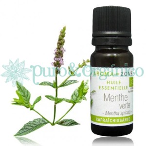 Aceite Esencial de Hierbabuena 10 ml spicata Puro y Organico Colombia Menthe Verte