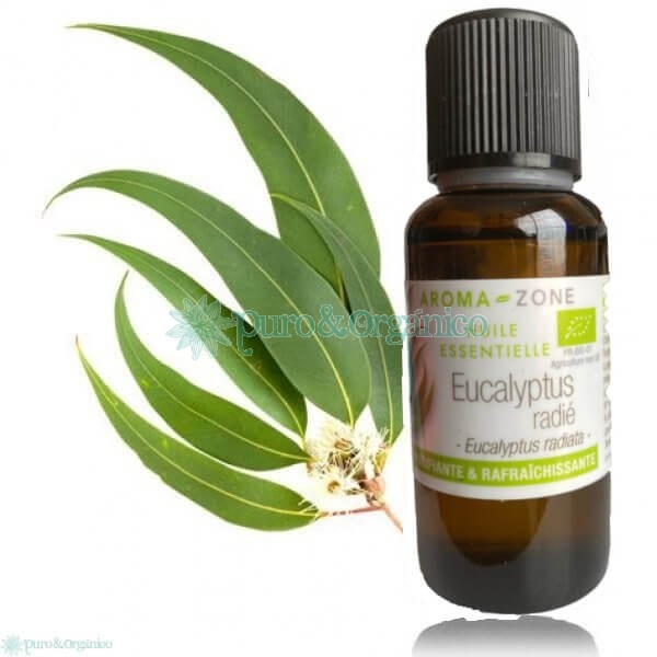 Aceite Esencial de Eucalipto Radiata Organico 30ml I Tienda Puro y Organico Colombia