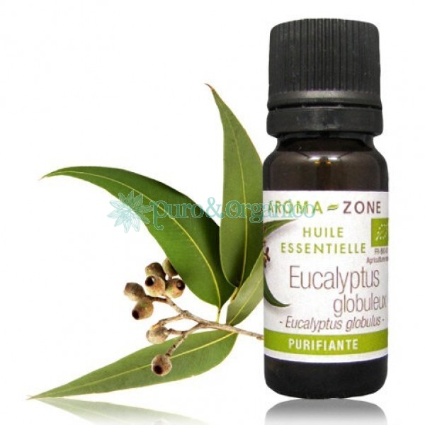 AZ Aceite Esencial de Eucalipto Organico 30ml Eucaliptus Globulus