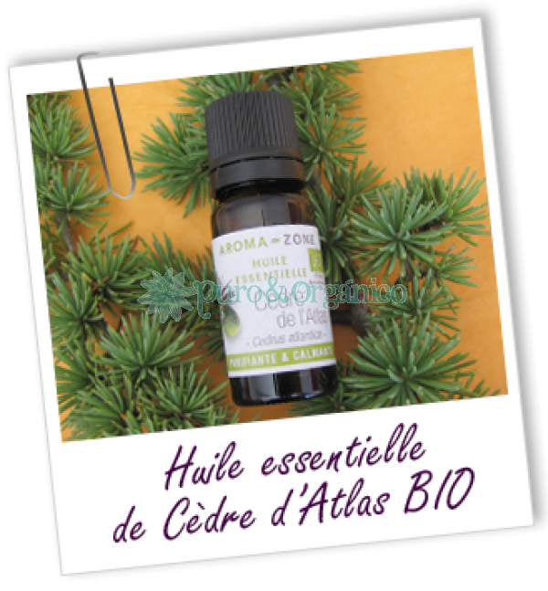  Aceite Esencial de Cedro Bio Organico -30ml Cedrus atlantica Puro y Organico Colombia