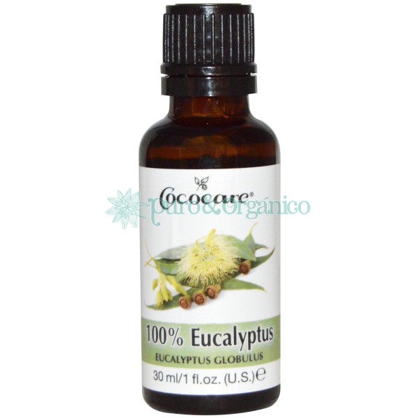 Cococare Aceite esencial de Eucalipto 30ml Puro 100% Natural