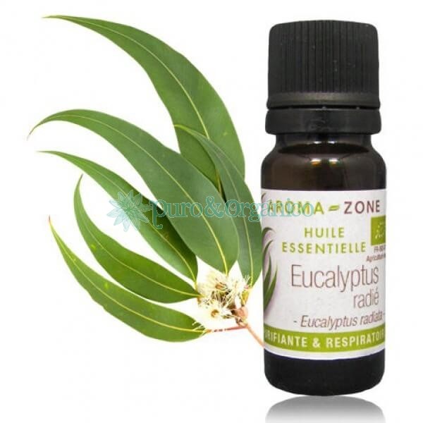 Aceite Esencial de Eucalipto Radiata Organico 10ml I Tienda Puro y Organico Colombia