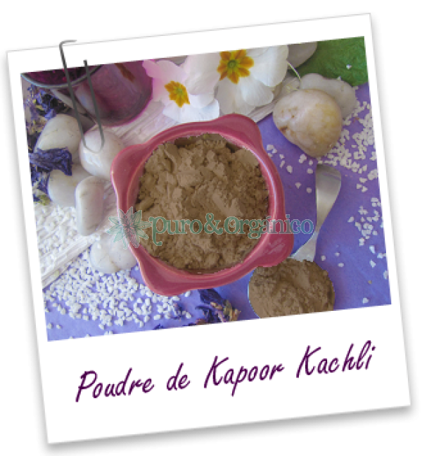 Polvo Ayurvedico Kapoor Kachli 100gr I Puro y Organico Colombia Hedychium spicatum 