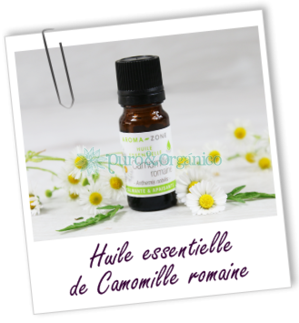 Aceite esencial de Manzanilla Romana Puro 100% Anthemis nobilis, Camomille noble