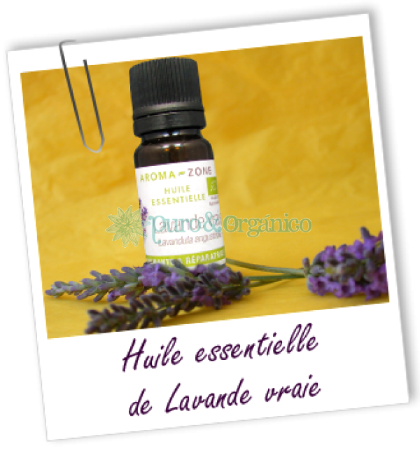 Aroma Zone Aceite Esencial de Lavanda Vraie Organica (Lavandula angustifolia) Bogota Colombia-30 ml (1Oz)