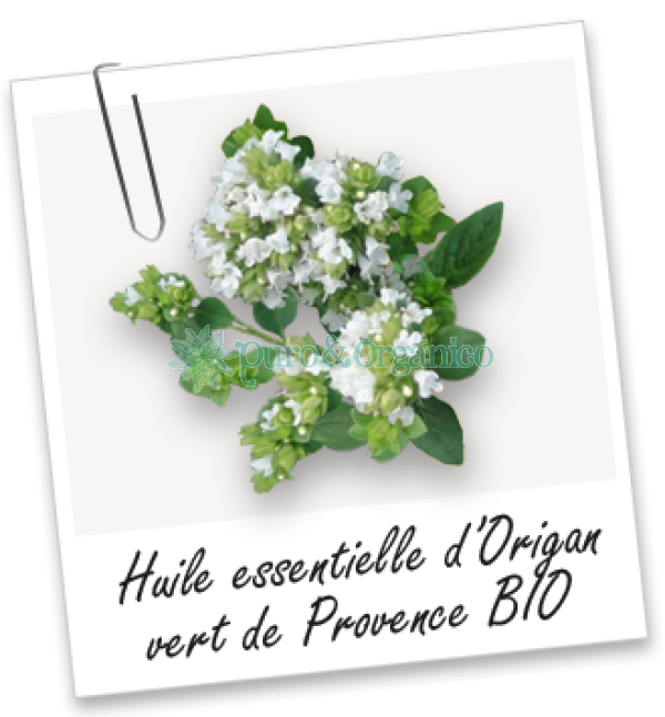  Aceite Esencial de Oregano Verde de Provenza 10ml Bio Organico Bogota Colombia Tienda Oregan oil