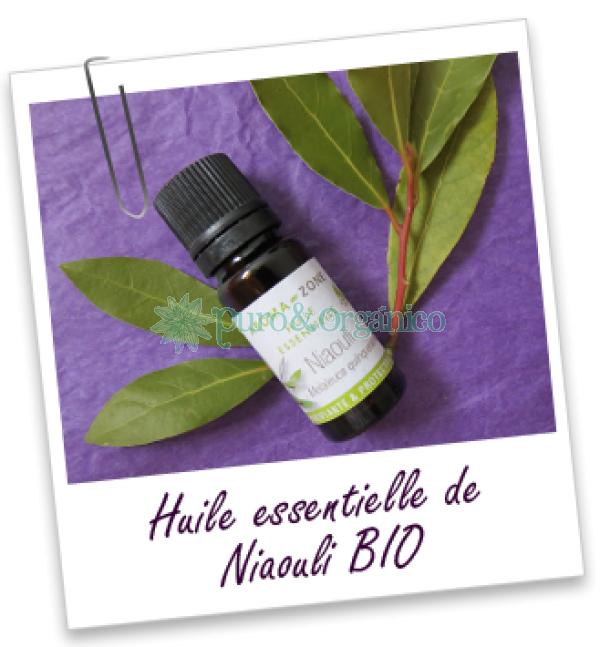  Aceite de Niaouli Organico Melaleuca quinquenervia cineolifera Bogota Colombia