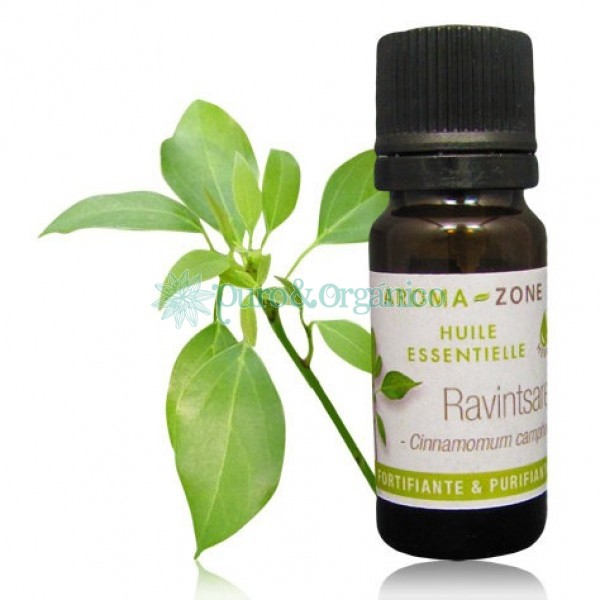 Aceite Esencial de Ravintsara 30ml Puro BIO Organico Bogota Colombia Cinnamomum camphora